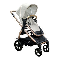 Peg-Perego Ypsi Notice D'emploi